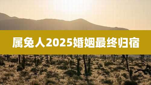 属兔人2025婚姻最终归宿