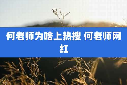 何老师为啥上热搜 何老师网红