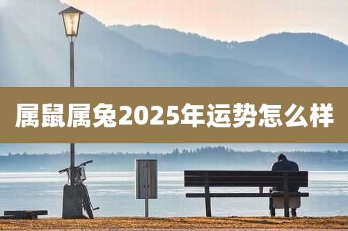 属鼠属兔2025年运势怎么样
