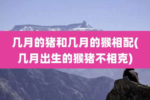 几月的猪和几月的猴相配(几月出生的猴猪不相克)