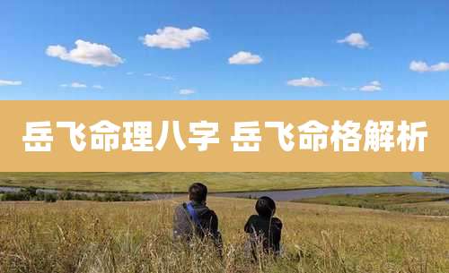 岳飞命理八字 岳飞命格解析