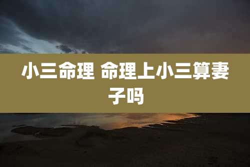 小三命理 命理上小三算妻子吗