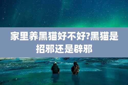 家里养黑猫好不好?黑猫是招邪还是辟邪