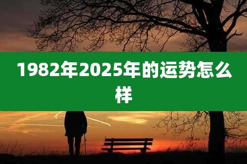 1982年2025年的运势怎么样