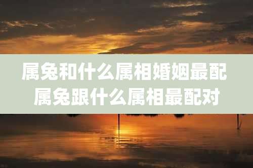 属兔和什么属相婚姻最配 属兔跟什么属相最配对