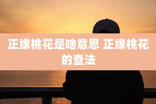 正缘桃花是啥意思 正缘桃花的查法