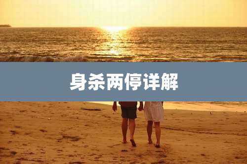 身杀两停详解