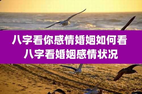 八字看你感情婚姻如何看 八字看婚姻感情状况
