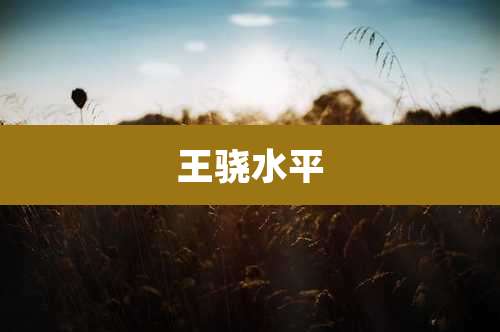 王骁水平