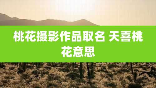 桃花摄影作品取名 天喜桃花意思