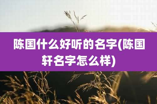 陈国什么好听的名字(陈国轩名字怎么样)