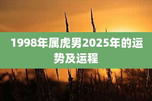 1998年属虎男2025年的运势及运程