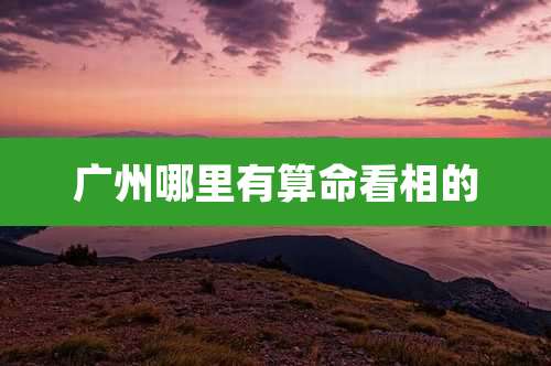 广州哪里有算命看相的