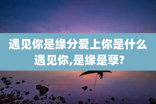 遇见你是缘分爱上你是什么 遇见你,是缘是孽?