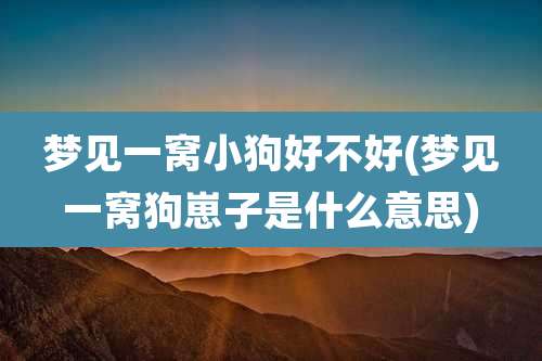 梦见一窝小狗好不好(梦见一窝狗崽子是什么意思)