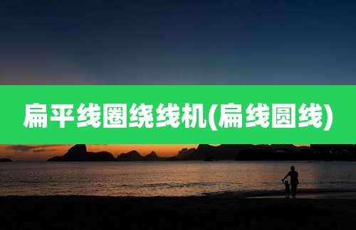 扁平线圈绕线机(扁线圆线)