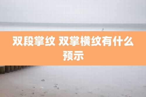 双段掌纹 双掌横纹有什么预示