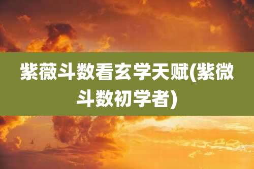 紫薇斗数看玄学天赋(紫微斗数初学者)