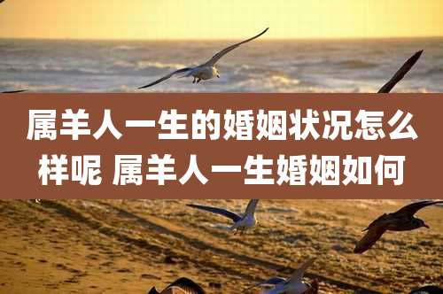 属羊人一生的婚姻状况怎么样呢 属羊人一生婚姻如何