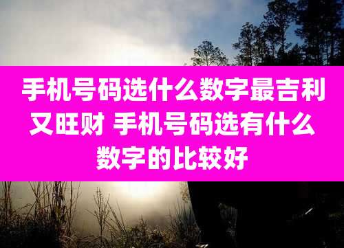 手机号码选什么数字最吉利又旺财 手机号码选有什么数字的比较好