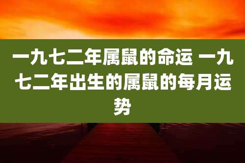 一九七二年属鼠的命运 一九七二年出生的属鼠的每月运势