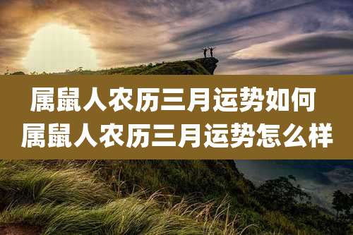 属鼠人农历三月运势如何 属鼠人农历三月运势怎么样