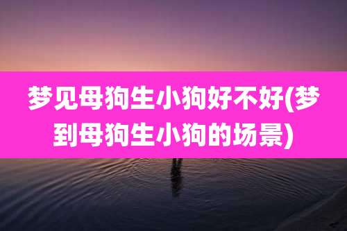 梦见母狗生小狗好不好(梦到母狗生小狗的场景)
