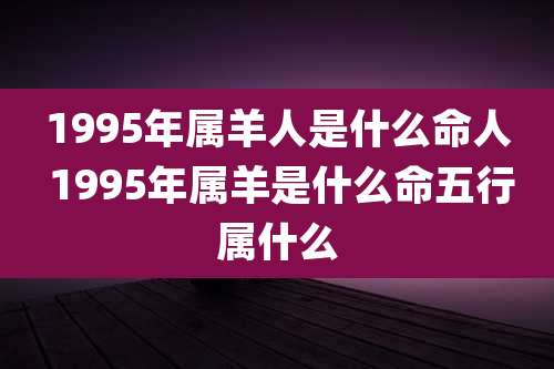 1995年属羊人是什么命人 1995年属羊是什么命五行属什么