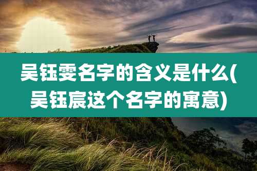 吴钰雯名字的含义是什么(吴钰宸这个名字的寓意)