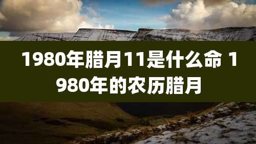 1980年腊月11是什么命 1980年的农历腊月