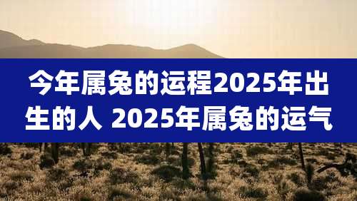今年属兔的运程2025年出生的人 2025年属兔的运气