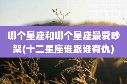 哪个星座和哪个星座最爱吵架(十二星座谁跟谁有仇)