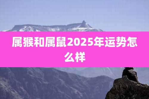 属猴和属鼠2025年运势怎么样