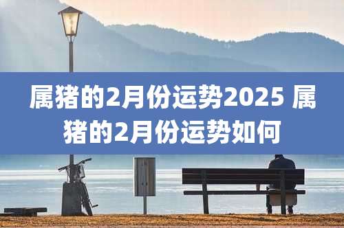 属猪的2月份运势2025 属猪的2月份运势如何