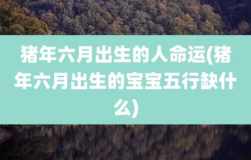 猪年六月出生的人命运(猪年六月出生的宝宝五行缺什么)