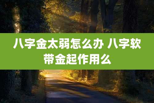 八字金太弱怎么办 八字软带金起作用么