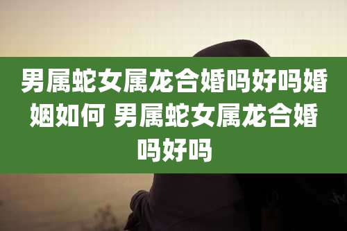 男属蛇女属龙合婚吗好吗婚姻如何 男属蛇女属龙合婚吗好吗