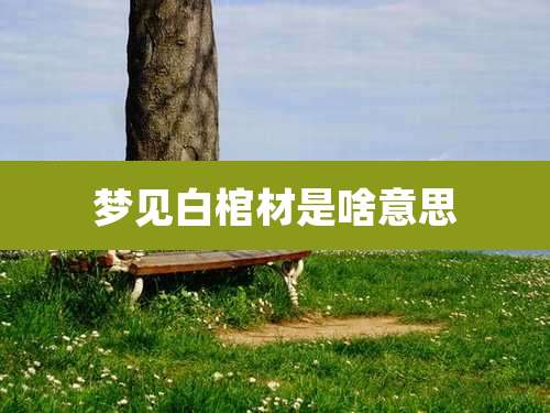 梦见白棺材是啥意思