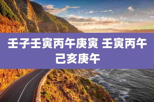 壬子壬寅丙午庚寅 壬寅丙午己亥庚午