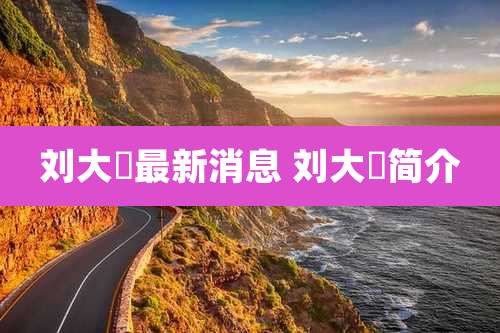 刘大鹍最新消息 刘大櫆简介