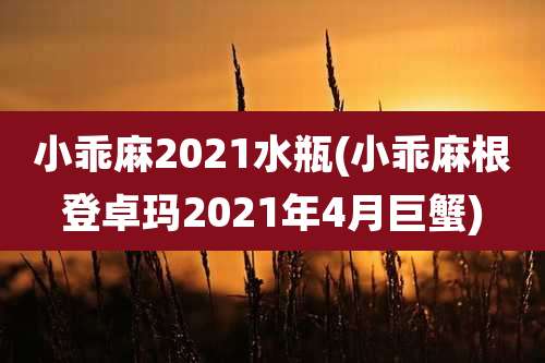 小乖麻2021水瓶(小乖麻根登卓玛2021年4月巨蟹)