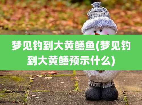 梦见钓到大黄鳝鱼(梦见钓到大黄鳝预示什么)