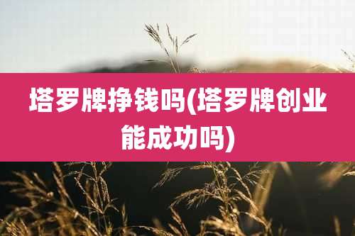 塔罗牌挣钱吗(塔罗牌创业能成功吗)