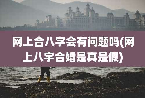 网上合八字会有问题吗(网上八字合婚是真是假)