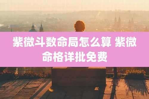 紫微斗数命局怎么算 紫微命格详批免费