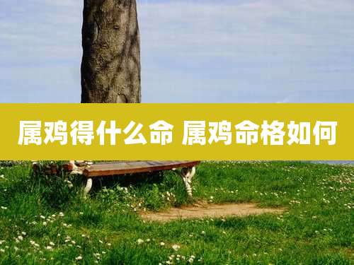 属鸡得什么命 属鸡命格如何