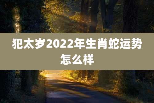 犯太岁2022年生肖蛇运势怎么样