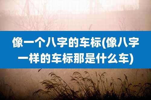 像一个八字的车标(像八字一样的车标那是什么车)