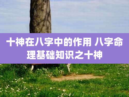 十神在八字中的作用 八字命理基础知识之十神