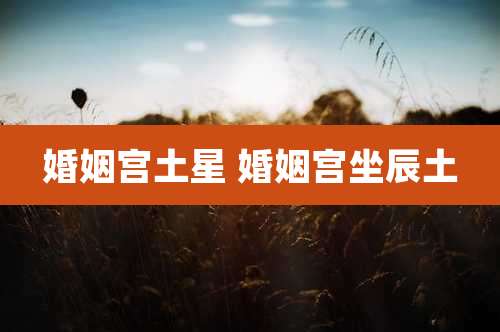 婚姻宫土星 婚姻宫坐辰土